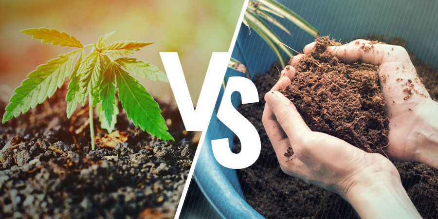 Multa vs kookoskuitu NPK: Soil vs Coco Coir