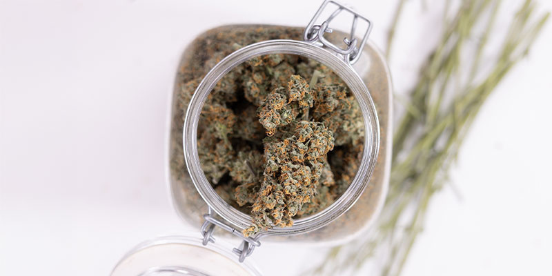 Kuinka säilyttää kannabista (oikein) Kuinka säilyttää kannabista (oikein)