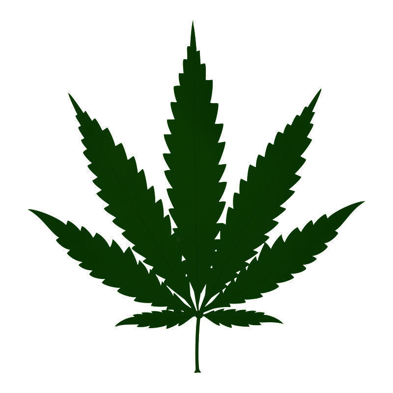 Typpitoksisuus kannabiskasveissa: typpitoksisuuden my&ouml;h&auml;isvaihe
