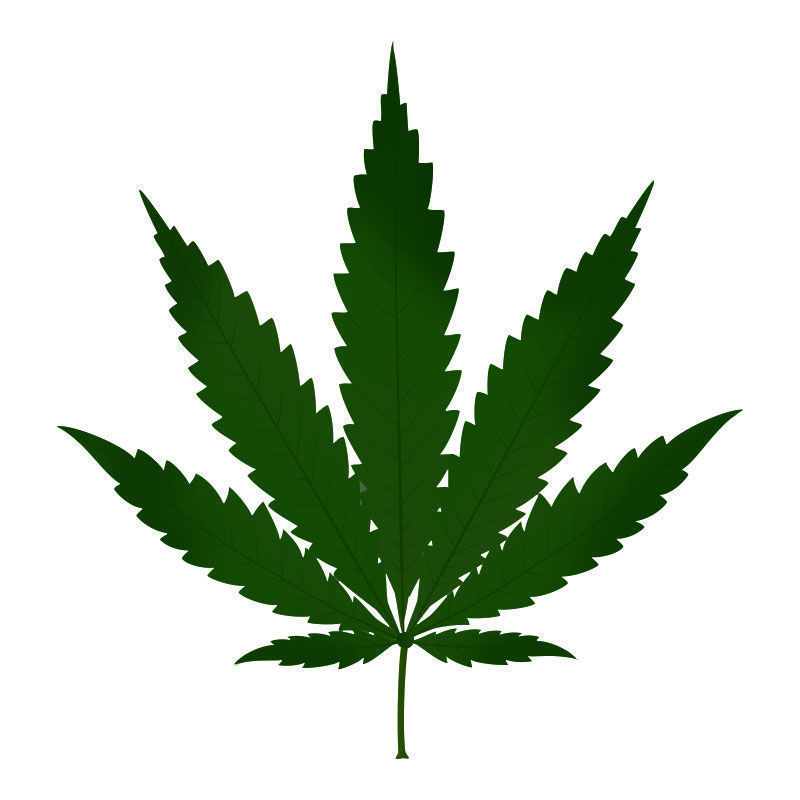 Typpitoksisuus kannabiskasveissa: typpitoksisuuden eteneminen