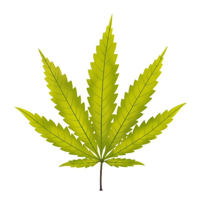 Rikin puutos kannabiskasveissa: Rikin puutoksen eteneminen