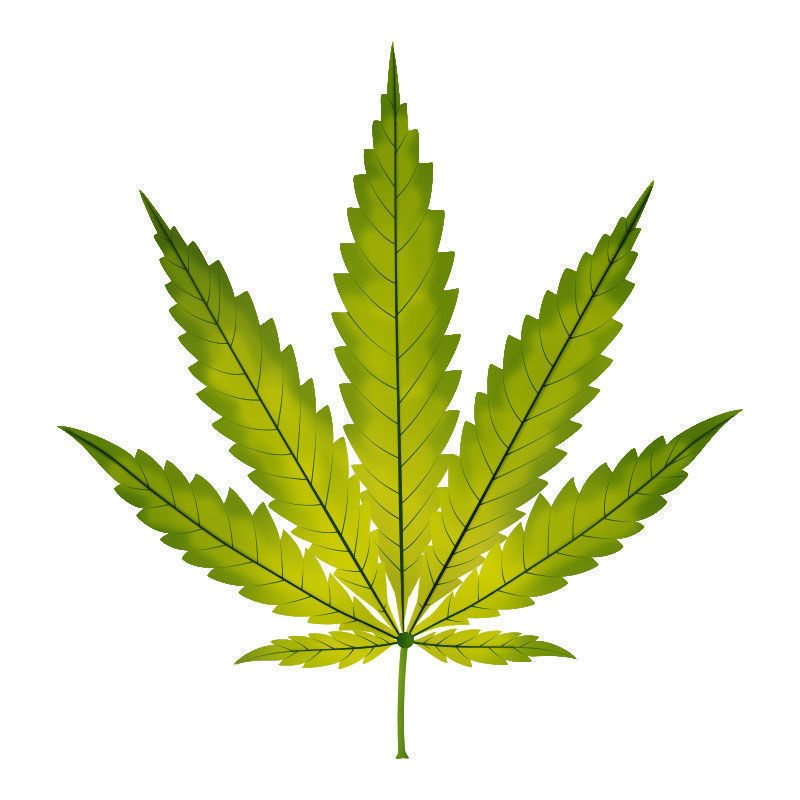 Kannabiskasvien raudanpuute: raudanpuutteen eteneminen