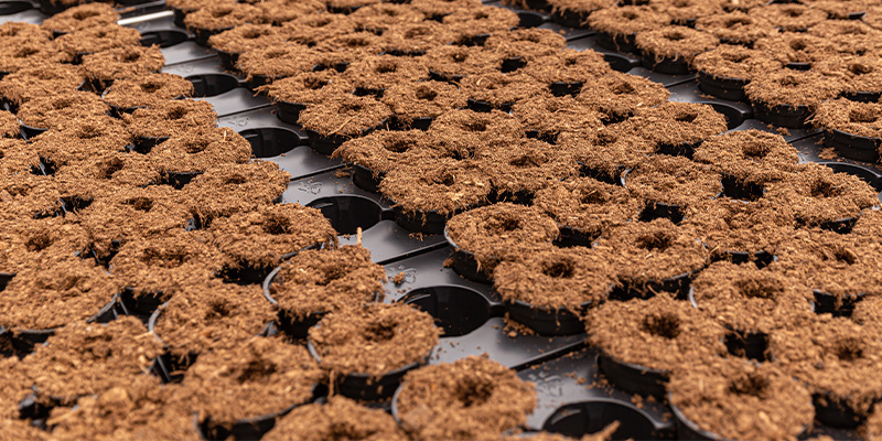 Kookoskuidun eri muodot Types of coco coir