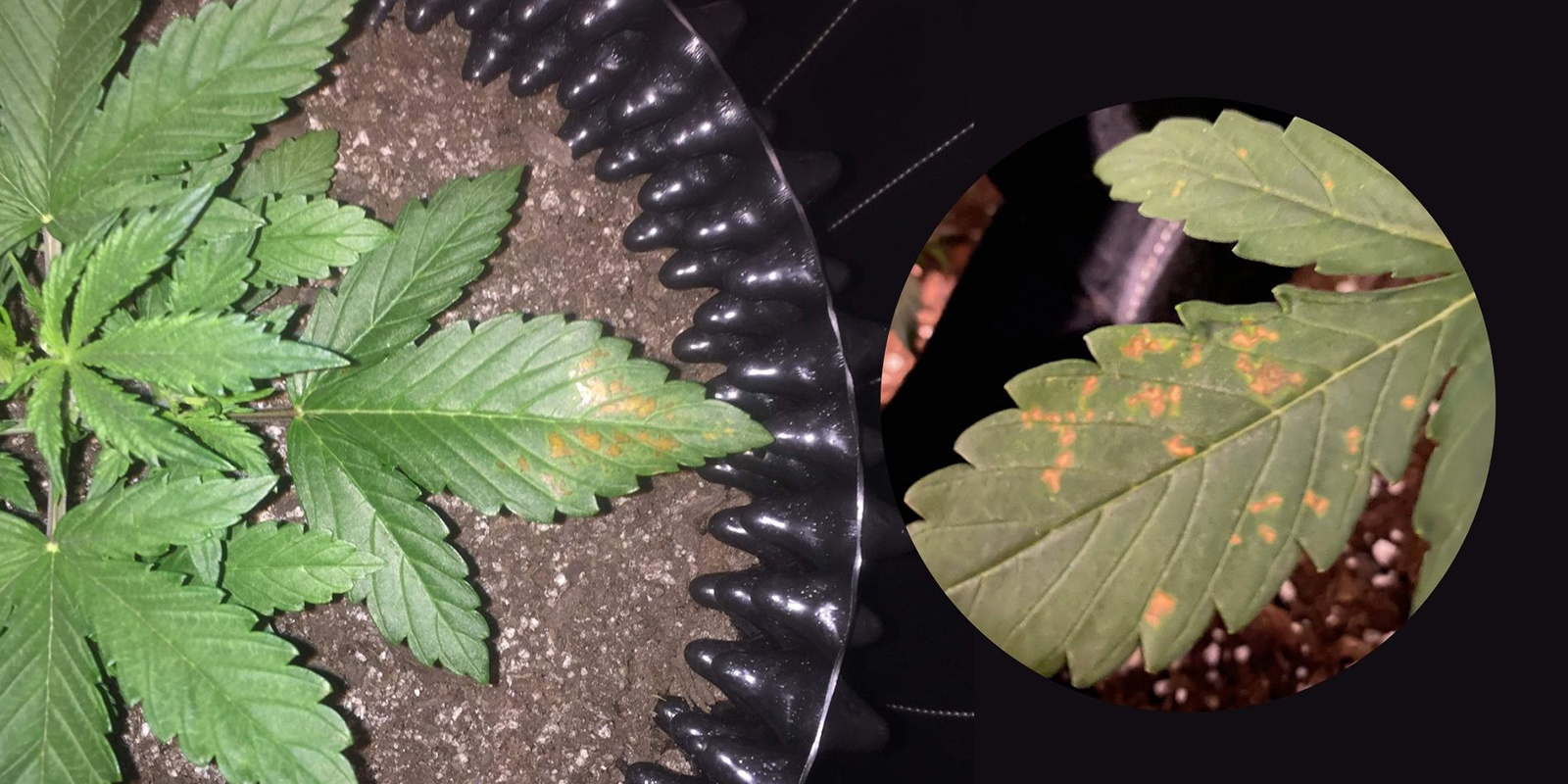 2. Visuaalinen varmistus vs. muut puutokset 2. Visuaalinen varmistus vs. muut puutokset
