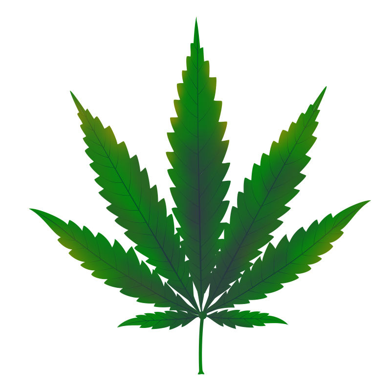 Kuparinpuutos kannabiskasveissa: Kuparinpuutoksen alku