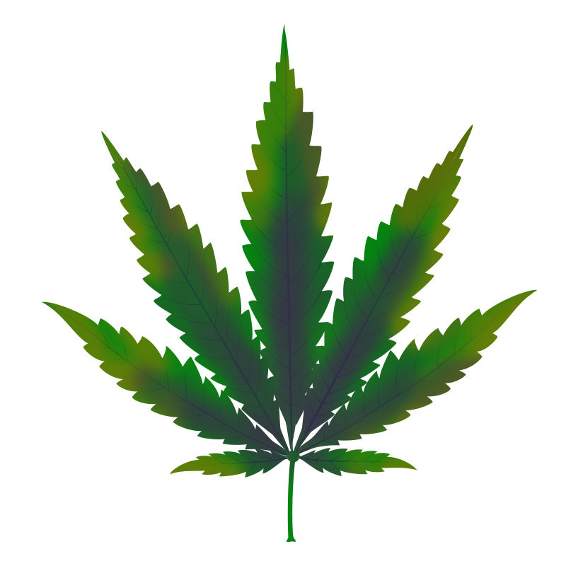 Kuparinpuutos kannabiskasveissa: Kuparinpuutoksen eteneminen
