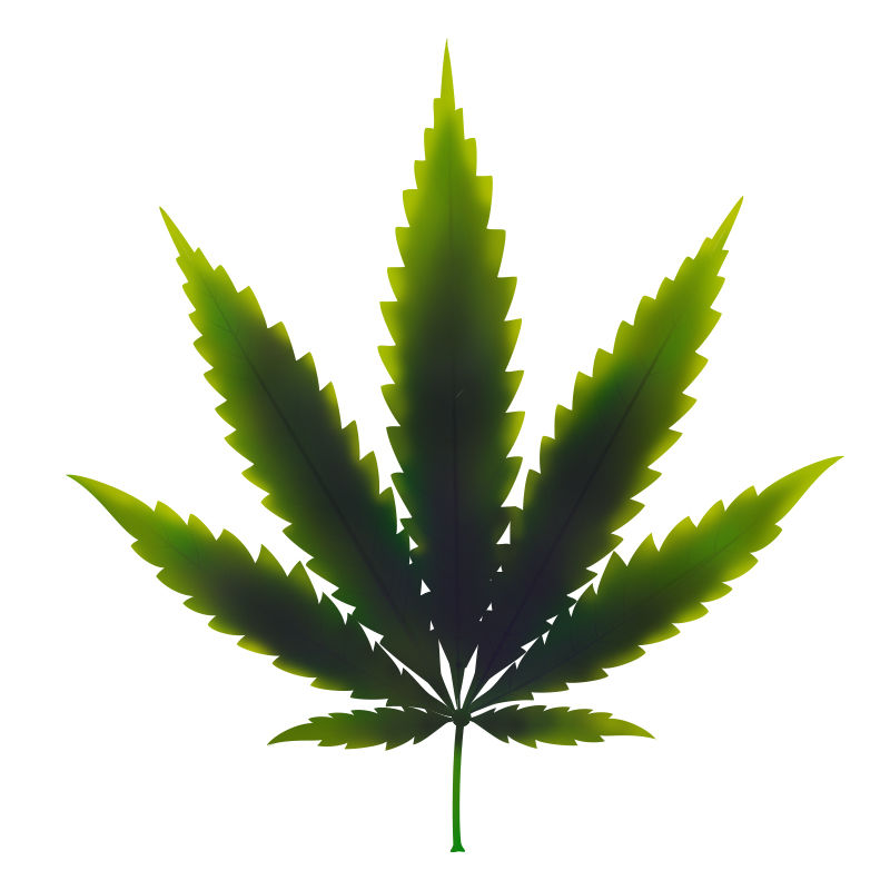 Kuparinpuutos kannabiskasveissa: Kuparinpuutoksen myöhäisvaihe