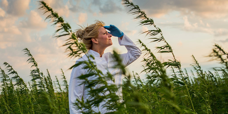 Haasteet ja sopeutuminen Croptoberissa Haasteet ja sopeutuminen Croptoberissa