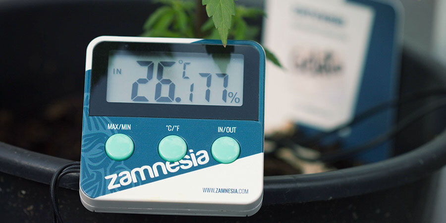 Suhteellinen ilmankosteus Kuinka kastella kannabiskasveja: suhteellinen ilmankosteus