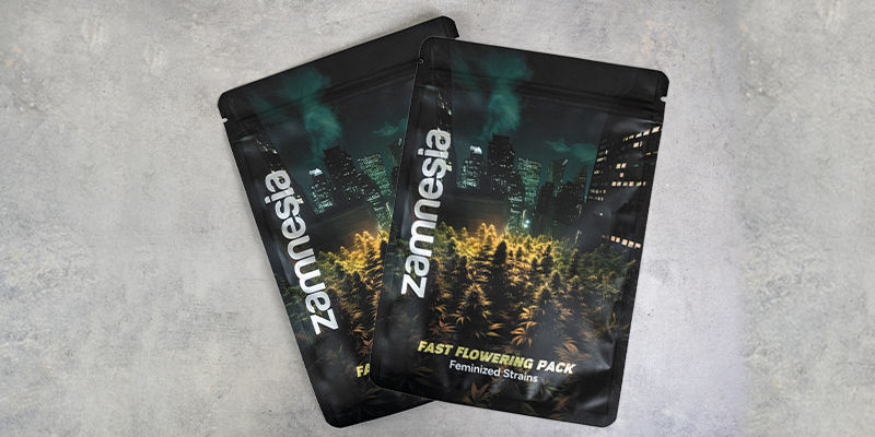 Fast Flowering Pack – Feminisoidut lajikkeet Fast Flowering Pack – Feminisoidut lajikkeet
