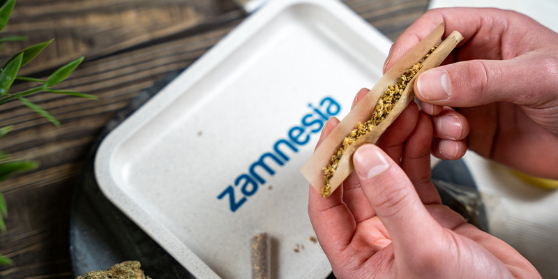 Pieni hamppuinen rullaustarjotin (Zamnesia) Pieni hamppuinen rullaustarjotin (Zamnesia)