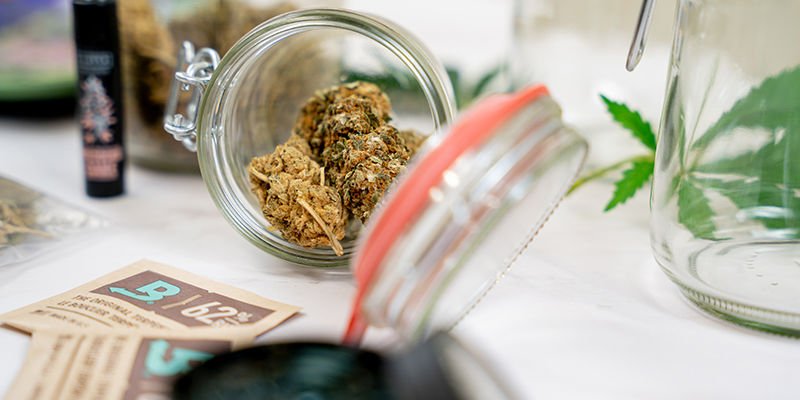 Kannabiksen kypsytyspurkit Kannabiksen kypsytyspurkit