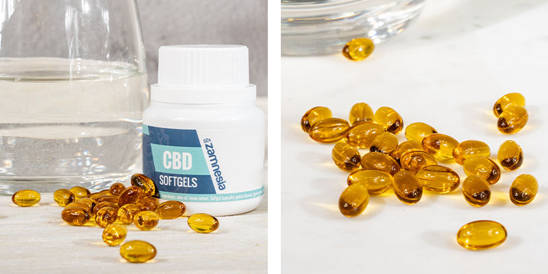 CBD Softgel -kapselit 5 % (Zamnesia)