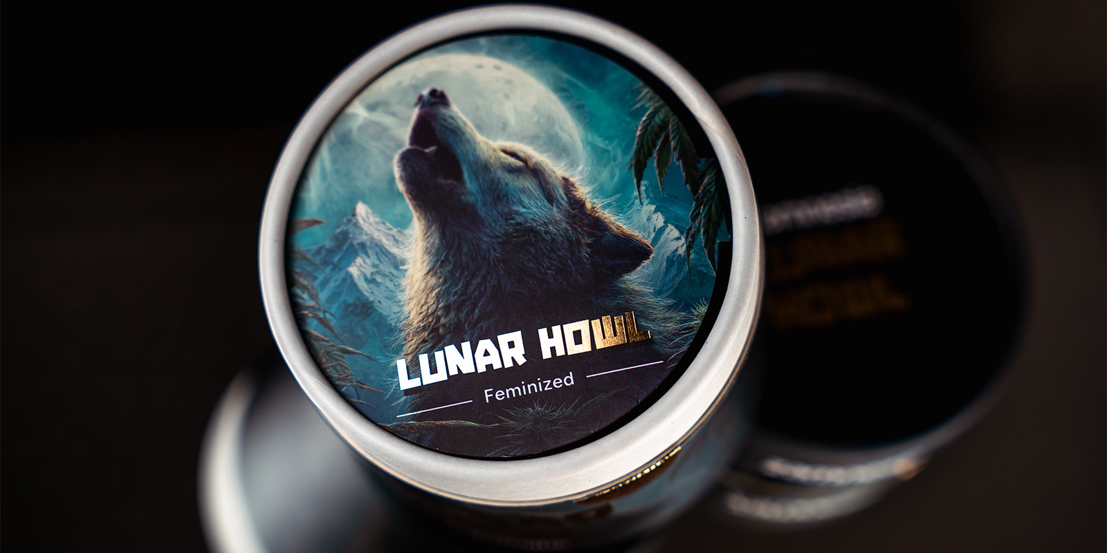 Lunar Howl – Zamnesia Seeds: eksklusiivinen & eksoottinen Lunar Howl - Zamnesia Seeds: Exclusive & Exotic