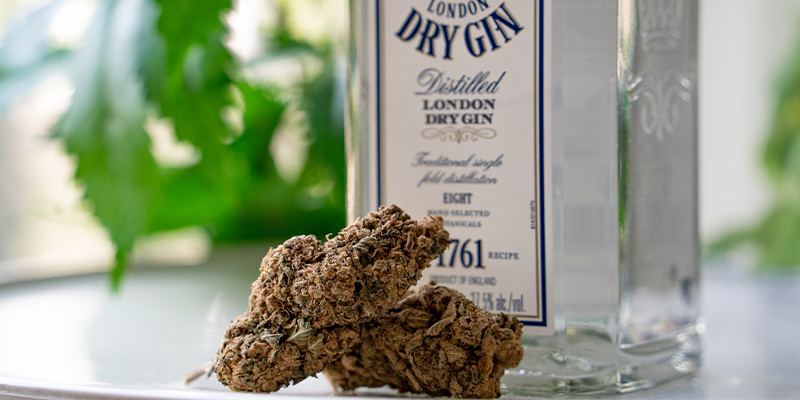 Kuinka gin infusoidaan Kuinka gin infusoidaan
