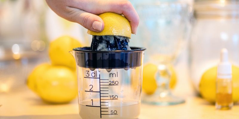 The process begins by juicing your lemons The process begins by juicing your lemons