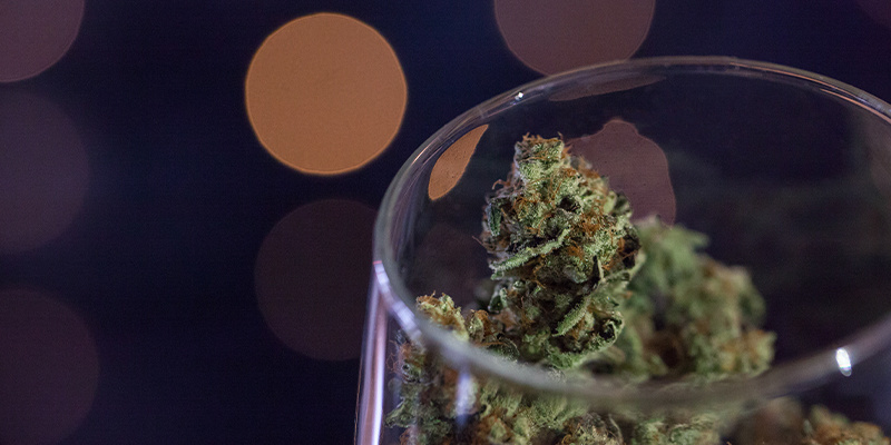 Kuinka hauduttaa kannabista viiniin Kuinka hauduttaa kannabista viiniin