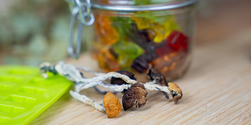 Kuinka säilyttää psilosybiini-purukumit pitkään How To Store Your Psilocybin Gummies Long-Term