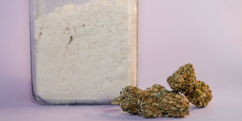 Mitä kannabisjauhe oikein on? Mitä kannabisjauhe oikein on?