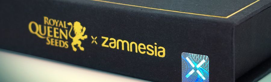 ZZ Punch ZZ Punch Detail