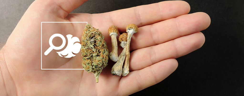 Kaikki, mitä sinun tulee tietää psykedeelien ja kannabiksen mikroannostelusta