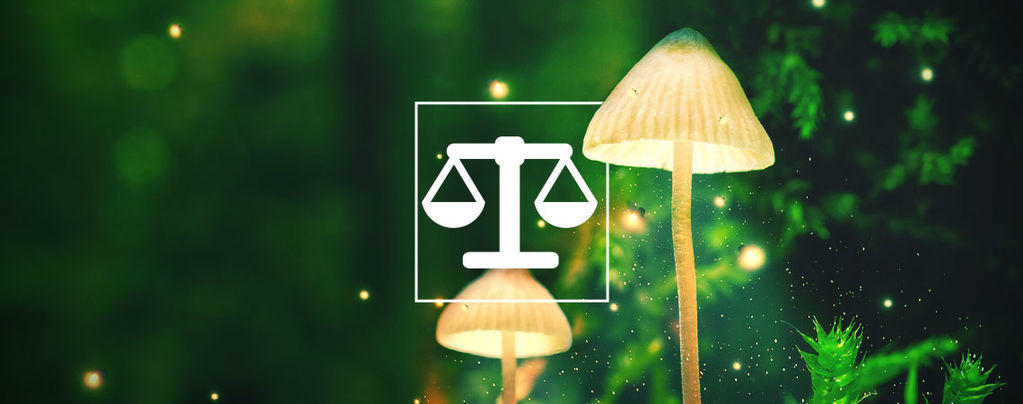 Kuinka punnita ja annostella psykedeelit turvallisesti