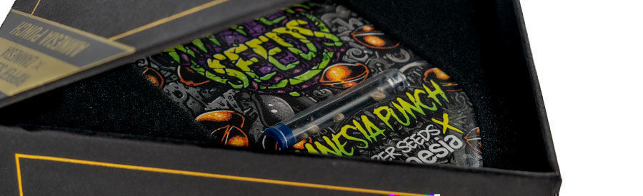 Amnesia Punchin yksityiskohta Amnesia Punch detail