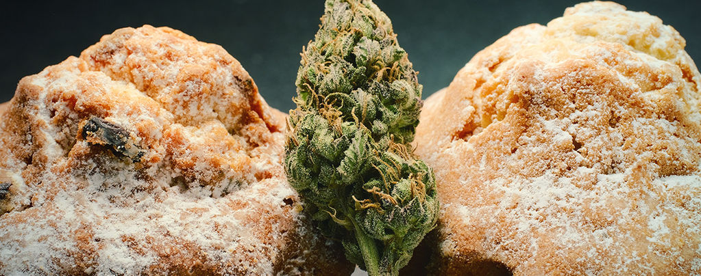 Hollantilainen kannabissyötävien renessanssi