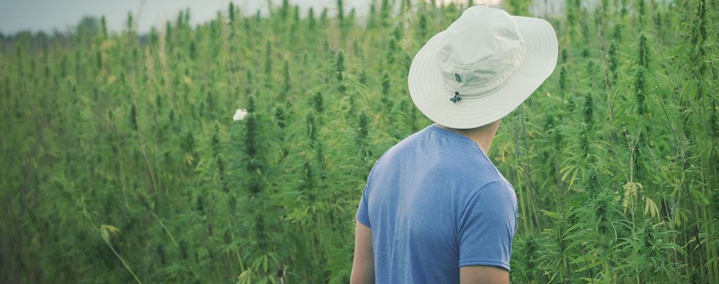 Tunnettu kannabiksen uranuurtaja Franco Loja on kuollut 42-vuotiaana