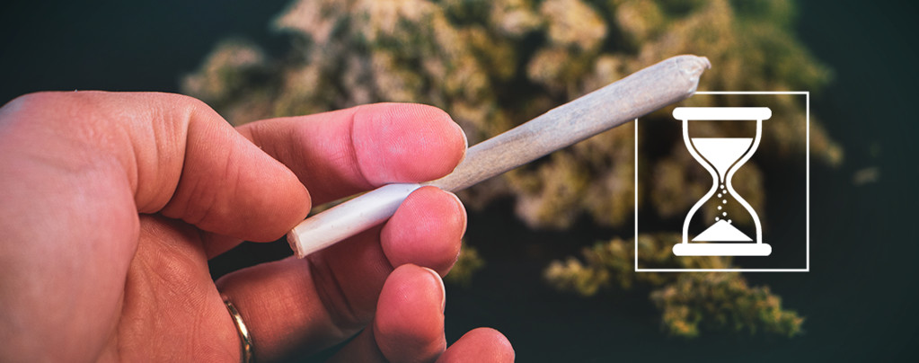 Can Weed Expire