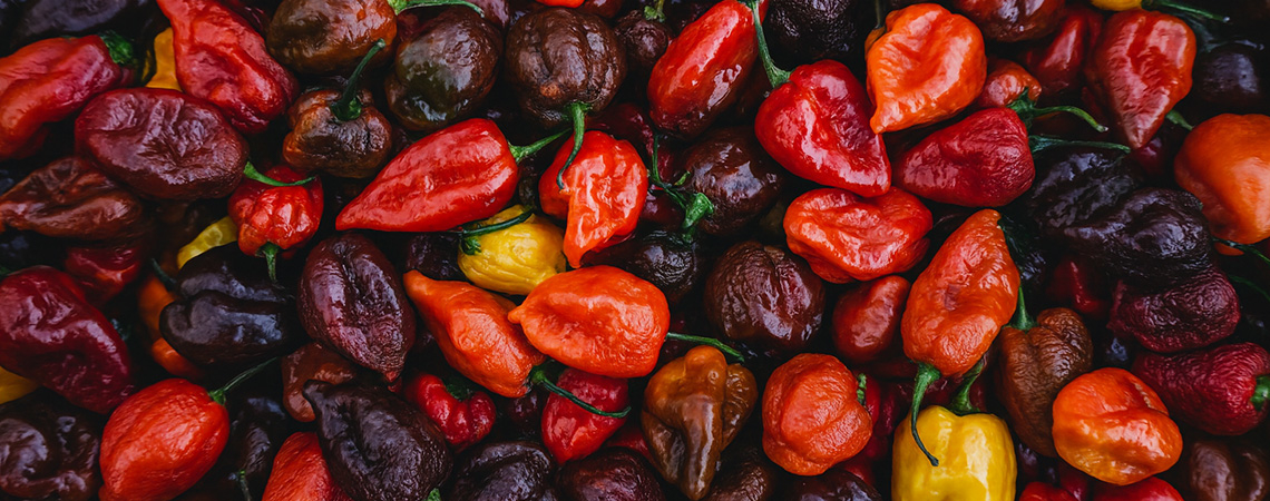 Maailman 20 tulisinta chiliä (2026 painos)