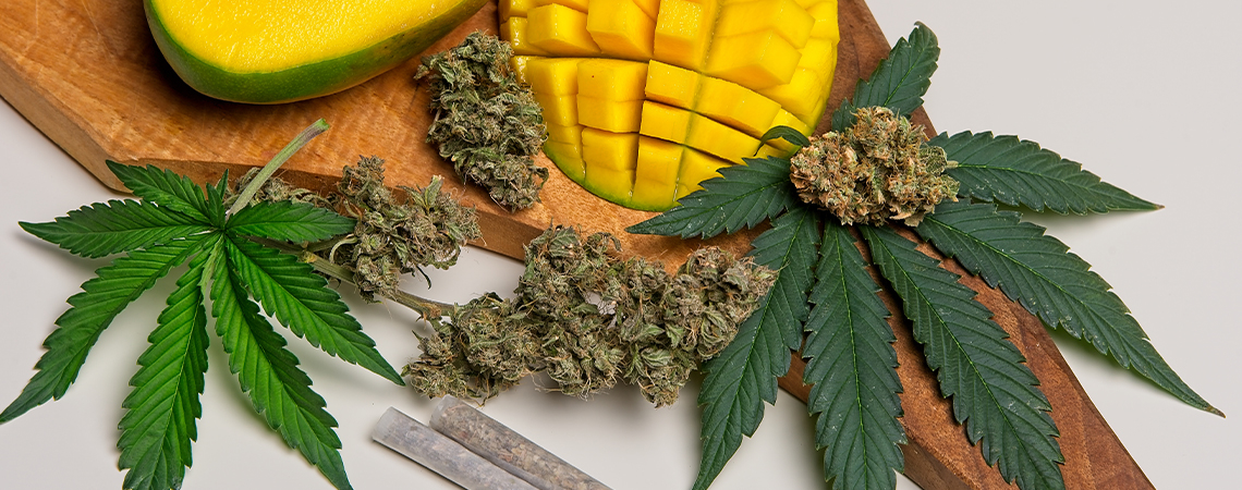 Mitä myrseeni on kannabiksessa?