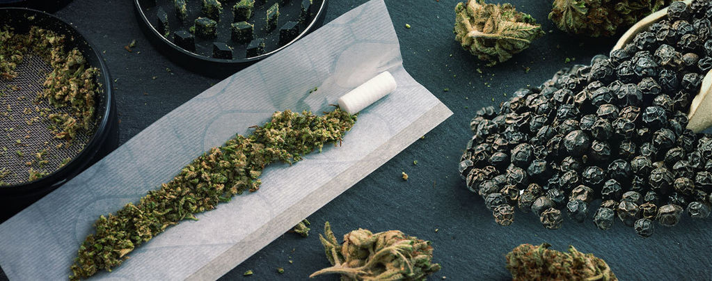 Voiko mustapippuri helpottaa kannabiksen vaikutusten hallintaa?
