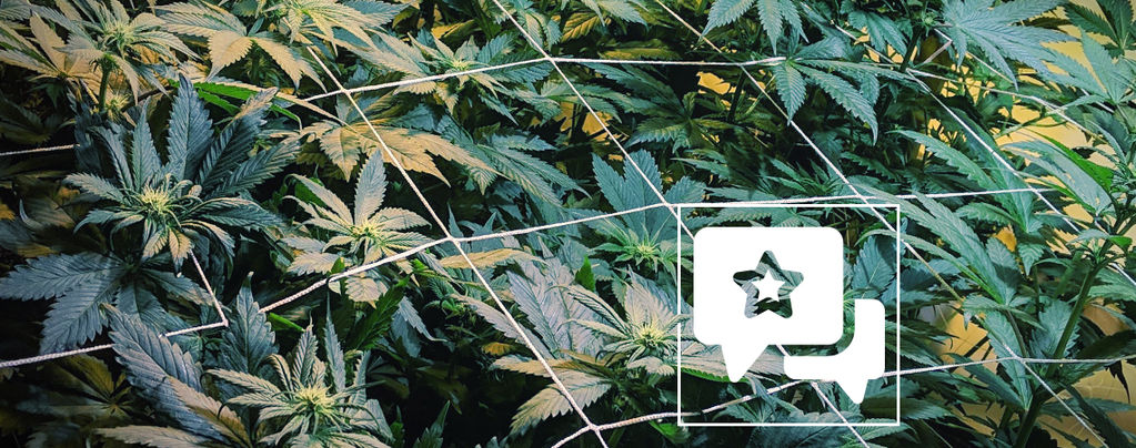 Lajikearvio: Casey Jones
