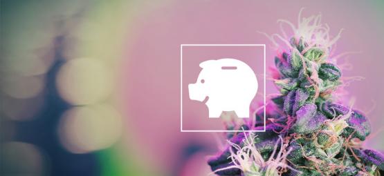 Kuinka kasvattaa kannabista pienellä budjetilla sisällä ja ulkona