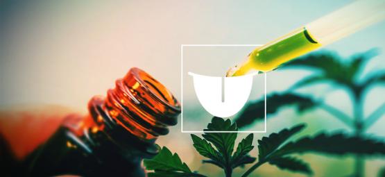 Miksi kielen alle otettava kannabistinktuura on paras valinta