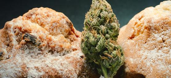 Hollantilainen kannabissyötävien renessanssi