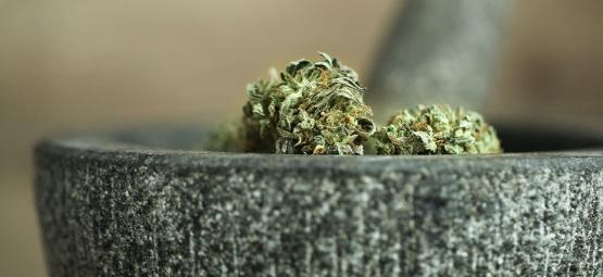 10 tapaa jauhaa kannabista ilman grinderia (päivitys 2026)