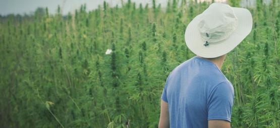 Tunnettu kannabiksen uranuurtaja Franco Loja on kuollut 42-vuotiaana