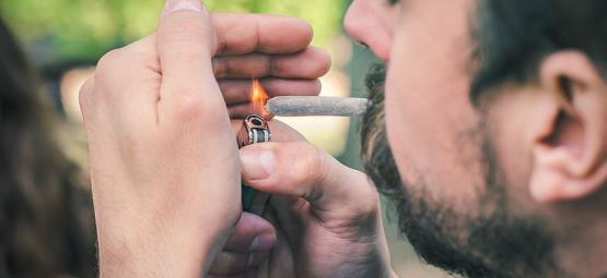 Tekijät, jotka saavat kannabiksen palamaan nopeasti tai hitaasti