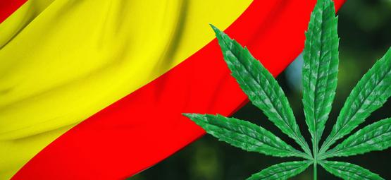 Sääntely leviää: Bilbao Espanjassa aikoo säännellä kannabisklubeja
