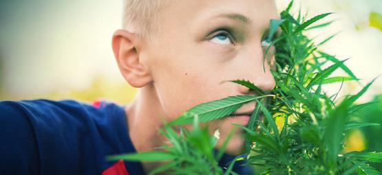 Kuinka päästä pilveen ilman kannabista