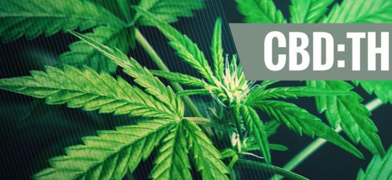 CBD:THC-suhteiden merkityksen ymmärtäminen