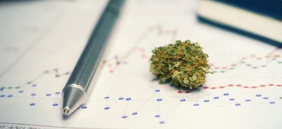 Kannabiksen käytön hyvät (ja huonot) puolet opiskelussa tai treenissä