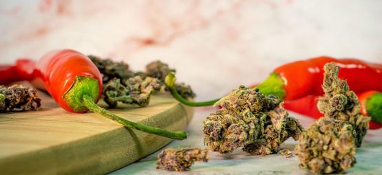 Kannabiksen ja tulisten chilien yllättävät hyödyt yhdessä