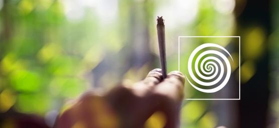 Onko kannabiksella mahdollista kokea psykedeelinen kokemus?
