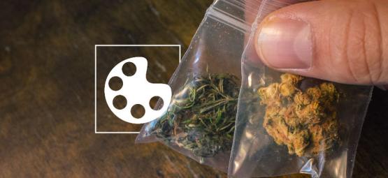 Kannabiksen eri värit ja mitä ne kertovat