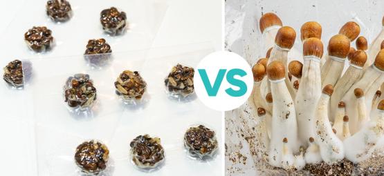 Maagiset tryffelit vs. taikasienet: kumpi voittaa?