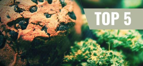 Top 5 kannabiskeksireseptit