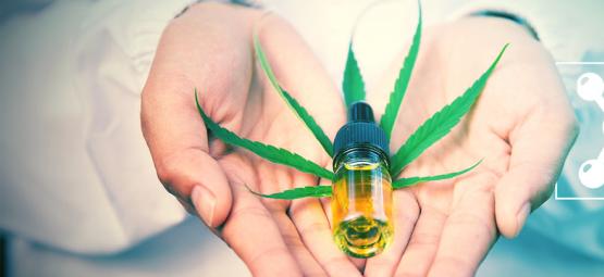 Mikä CBG on ja miten se vertautuu CBD:hen?